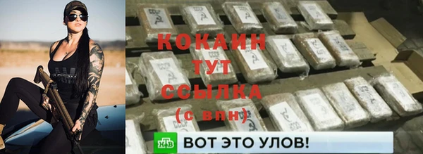 крисы Абдулино