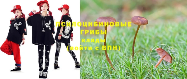 крисы Абдулино