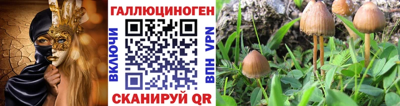 Псилоцибиновые грибы Psilocybe что такое наркотик Староминская